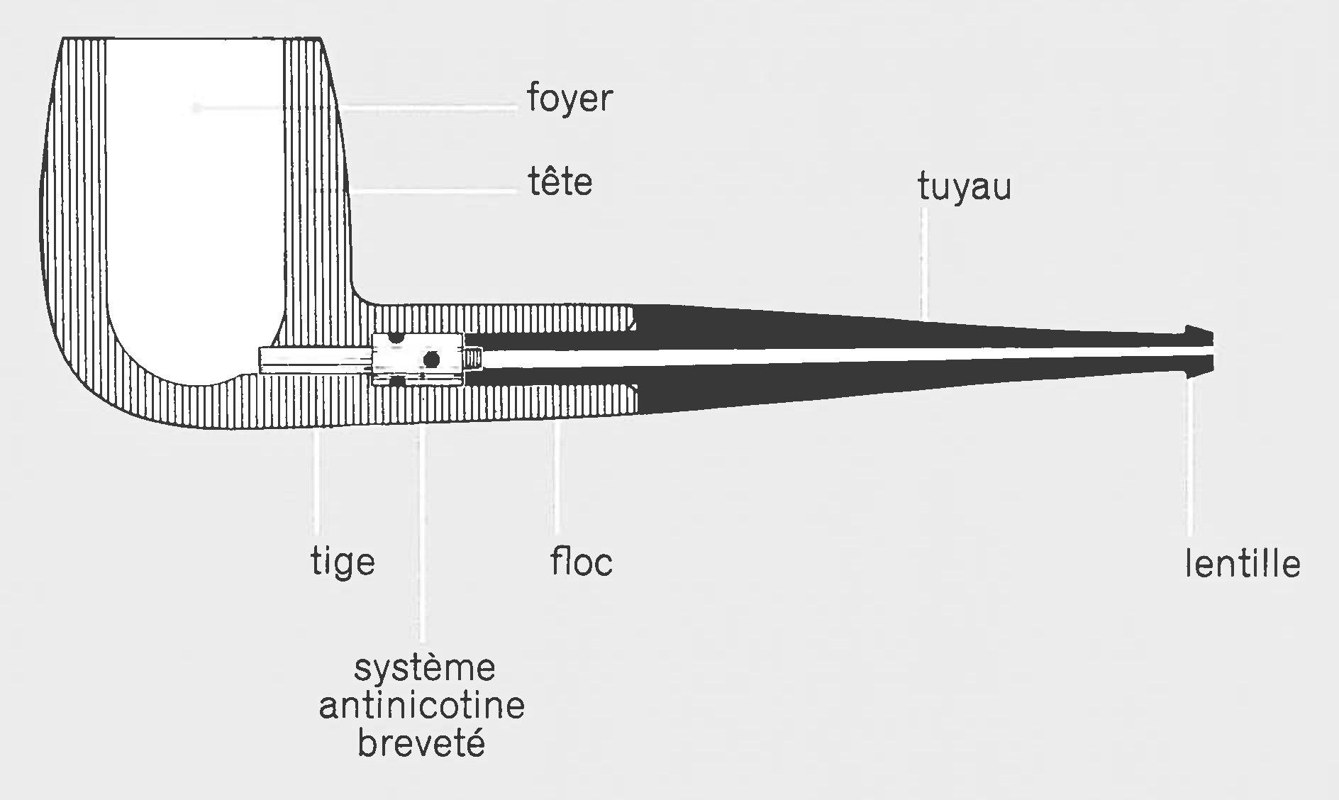 PIPE%20anatomie.jpg